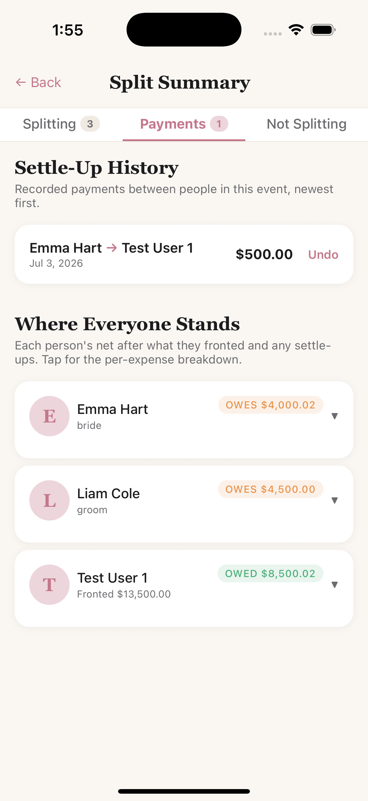 Payments tab with settle-up history