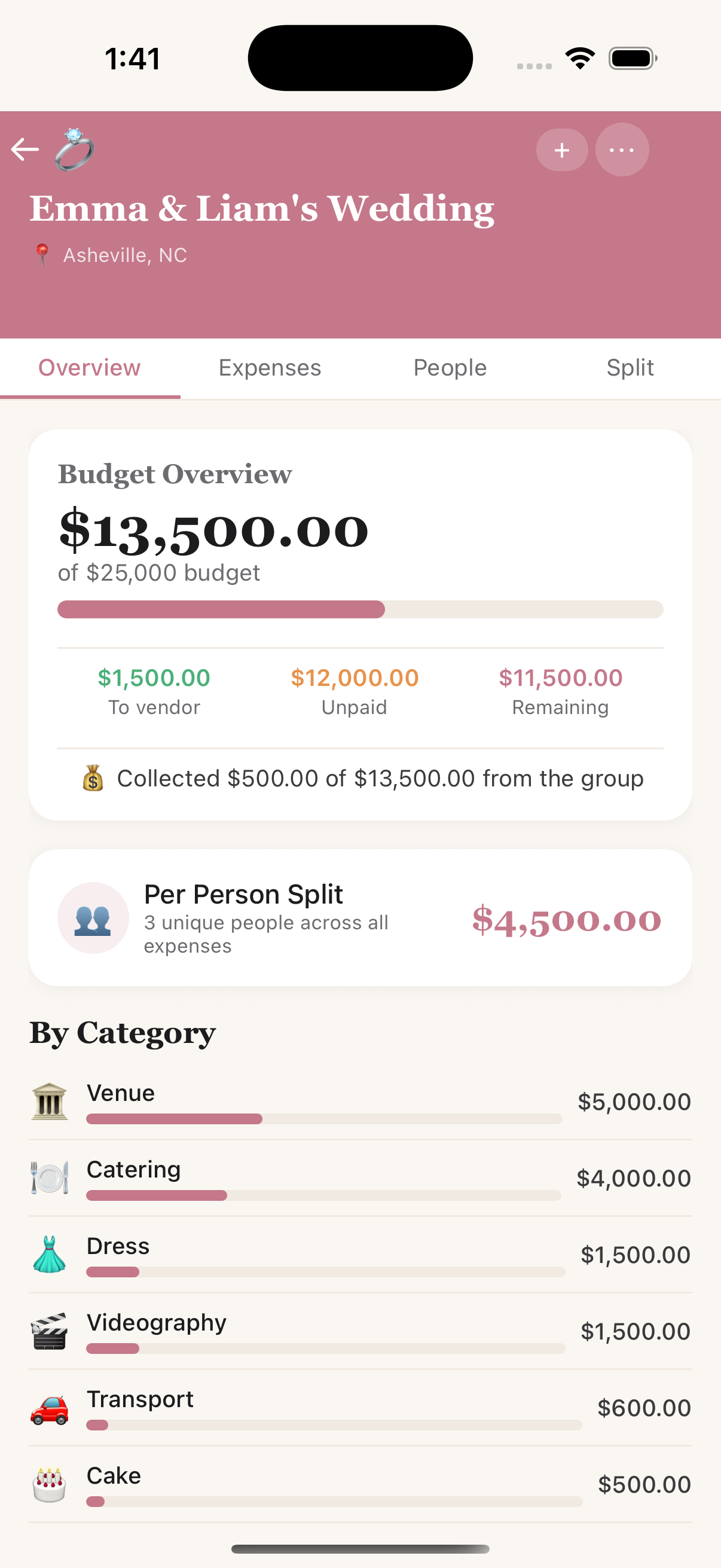Wedding budget overview